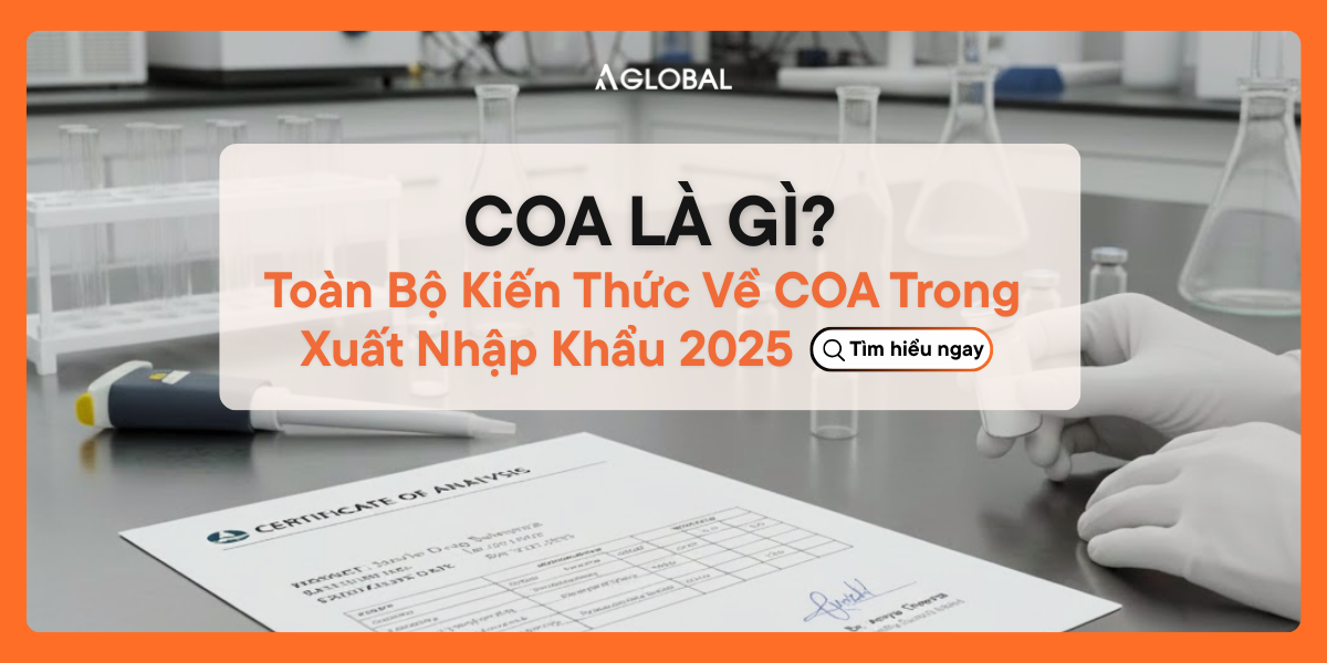 COA là gì? Toàn bộ kiến thức về COA trong xuất nhập khẩu 2025