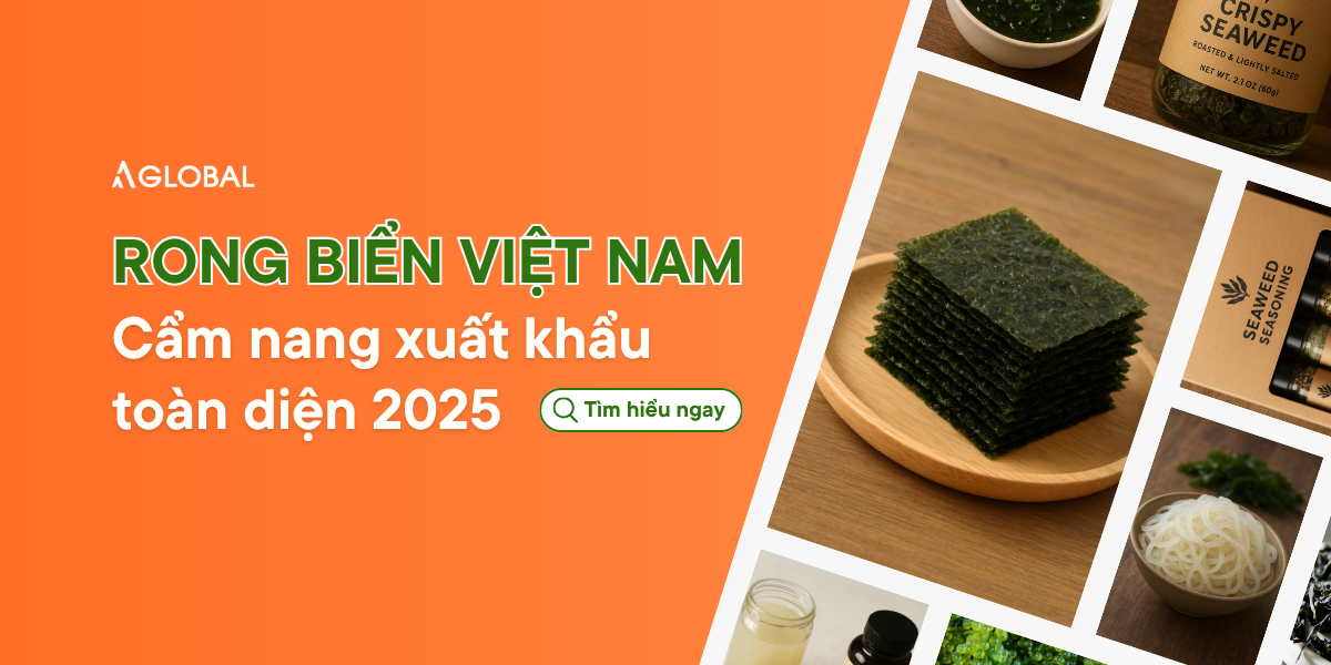 Rong biển Việt Nam: Cẩm nang xuất khẩu toàn diện 2025